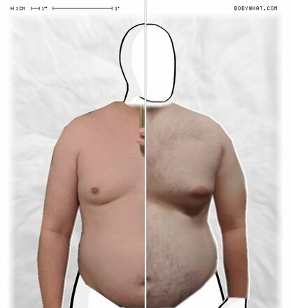 Torso Comparison
