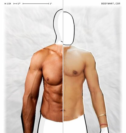 Torso Comparison