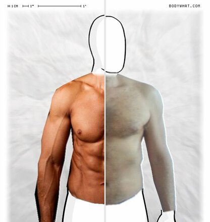 Torso Comparison