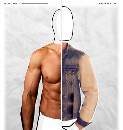 Torso Comparison