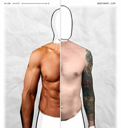 Torso Comparison