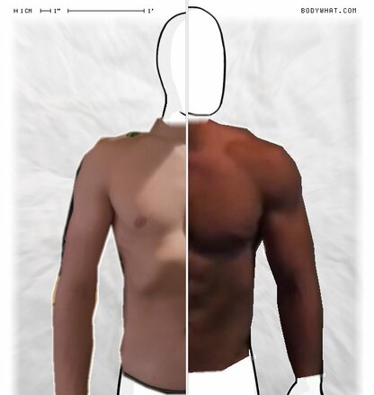 Torso Comparison