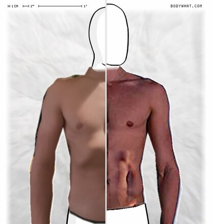 Torso Comparison