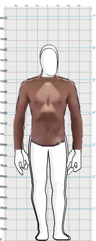 Full Size Comparison