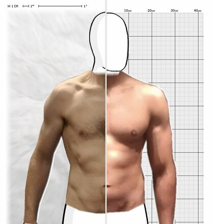 Torso Comparison