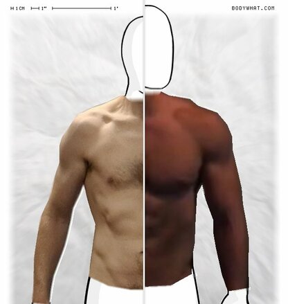 Torso Comparison