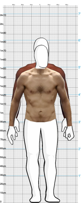 Full Size Comparison