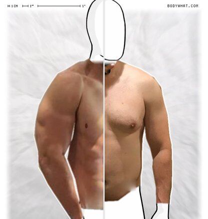 Torso Comparison