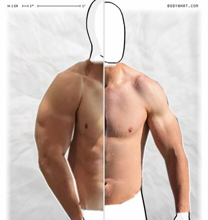 Torso Comparison