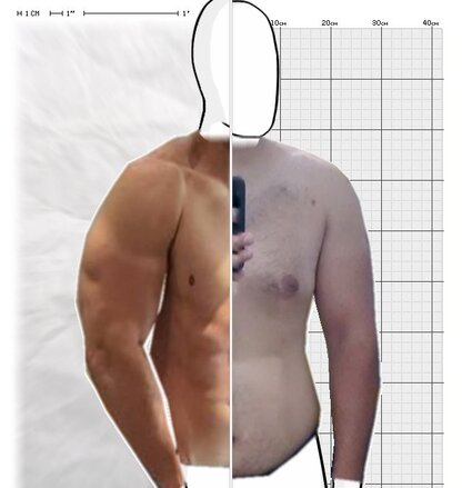 Torso Comparison