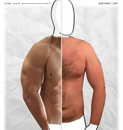 Torso Comparison