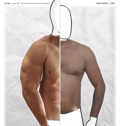 Torso Comparison