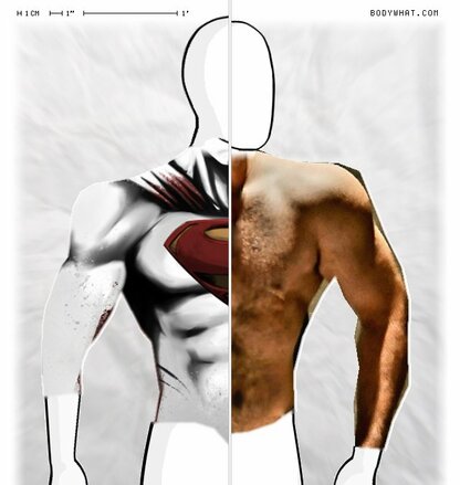 Torso Comparison