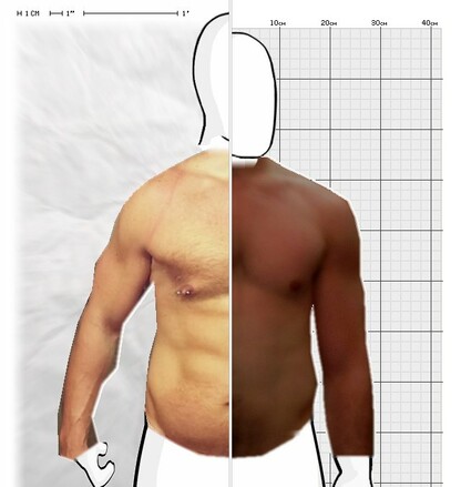 Torso Comparison