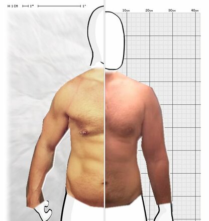 Torso Comparison