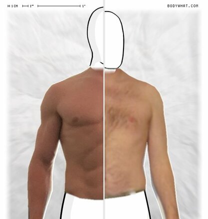 Torso Comparison