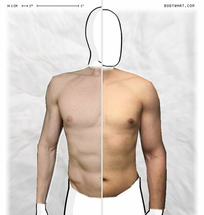 Torso Comparison