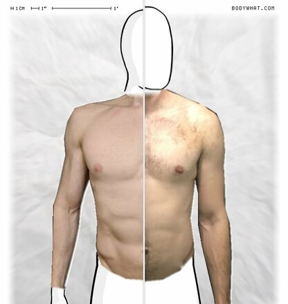 Torso Comparison