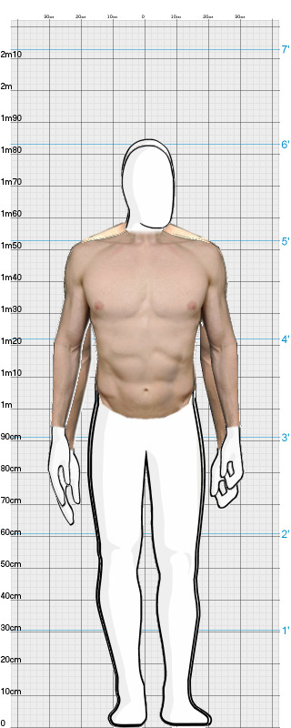 Full Size Comparison