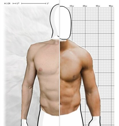 Torso Comparison