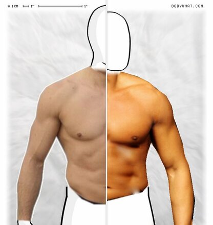 Torso Comparison