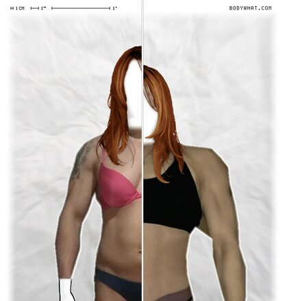 Torso Comparison