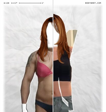 Torso Comparison