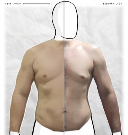 Torso Comparison