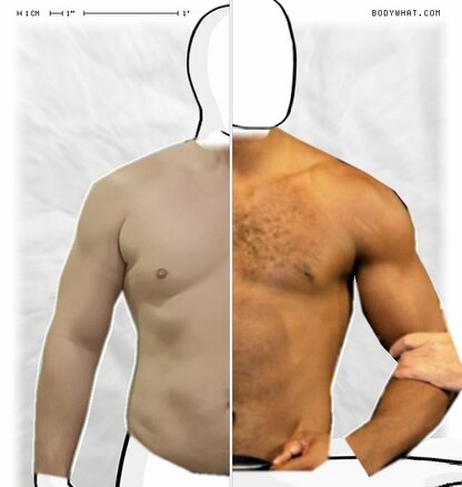 Torso Comparison