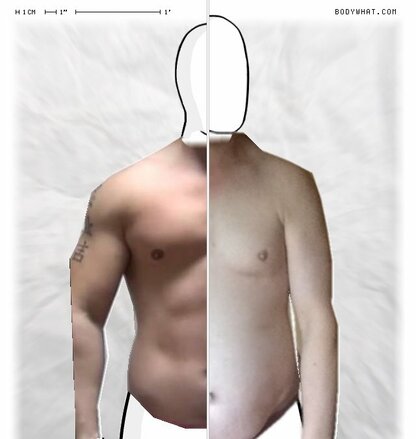 Torso Comparison