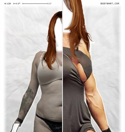 Torso Comparison