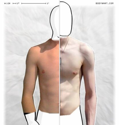 Torso Comparison