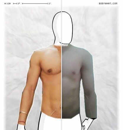 Torso Comparison