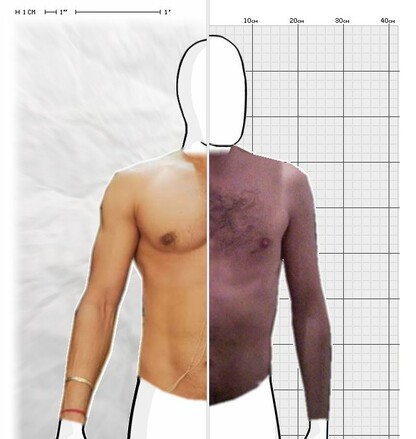 Torso Comparison