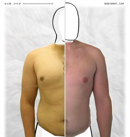 Torso Comparison