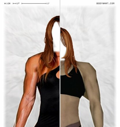 Torso Comparison