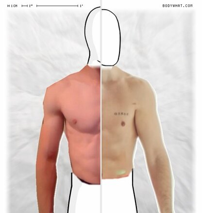 Torso Comparison
