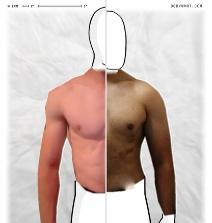 Torso Comparison