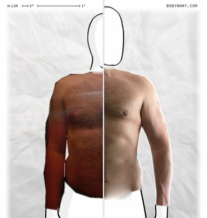 Torso Comparison