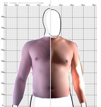 Torso Comparison