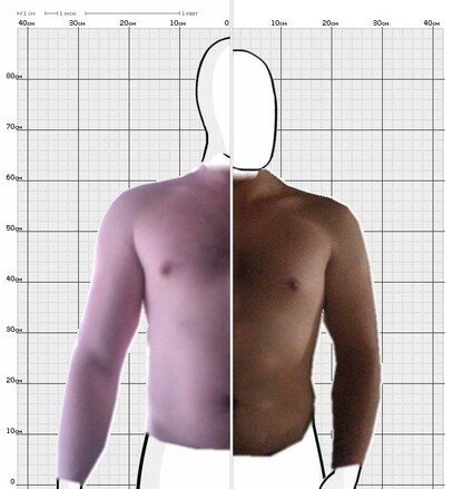 Torso Comparison