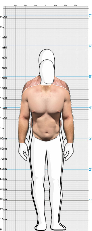 Full Size Comparison