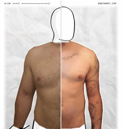 Torso Comparison