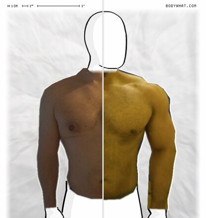 Torso Comparison