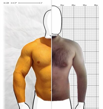 Torso Comparison