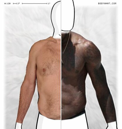 Torso Comparison