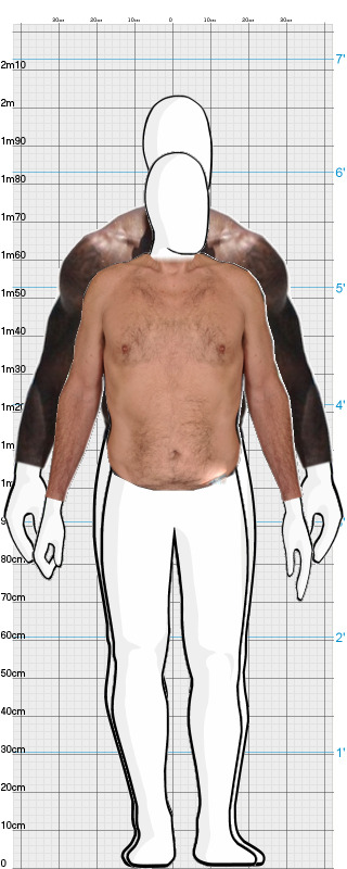 Full Size Comparison