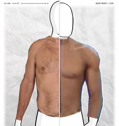 Torso Comparison