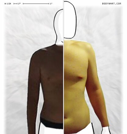 Torso Comparison