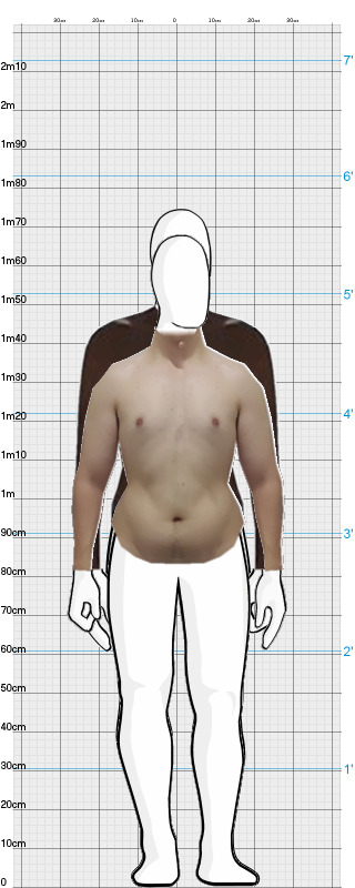 Full Size Comparison